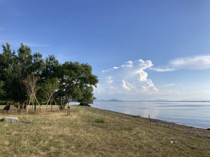 滋賀県営都市公園湖岸緑地(湖東湖北地域・南湖東岸地域)