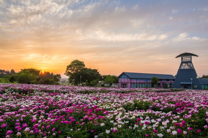 愛宕山記念公園