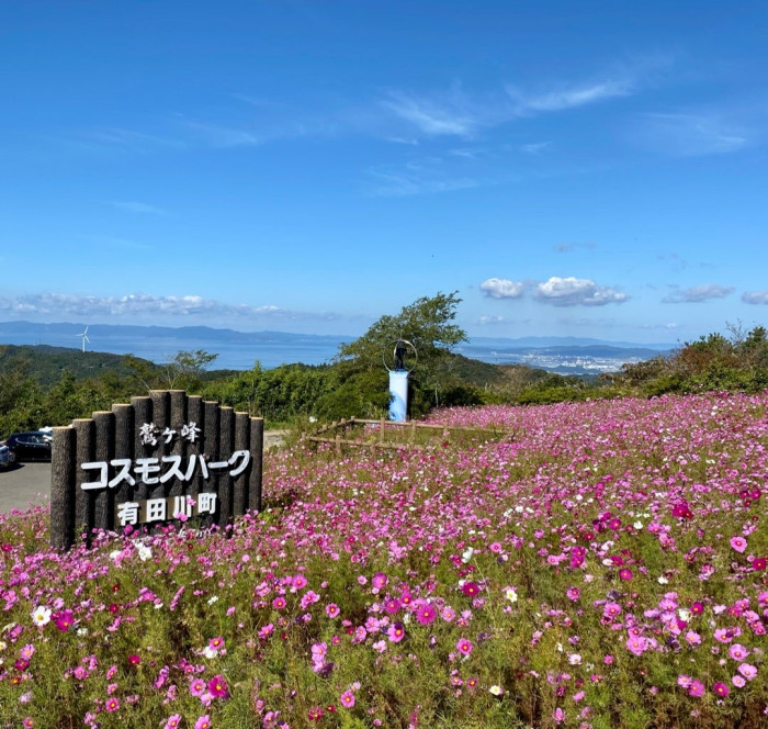 鷲ヶ峰コスモスパーク
