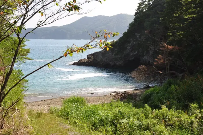 えぞと大自然のロマンの森