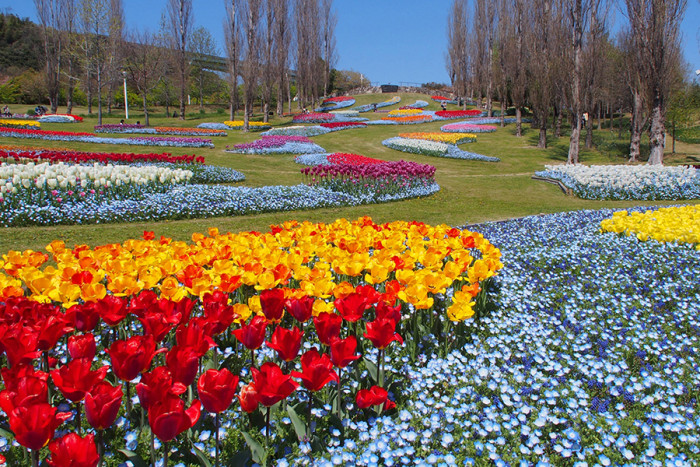 淡路島国営明石海峡公園