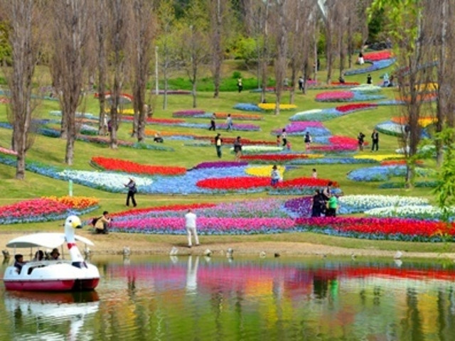淡路島国営明石海峡公園