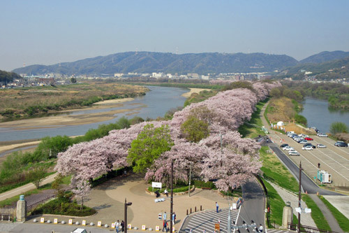 淀川河川公園 大山崎地区