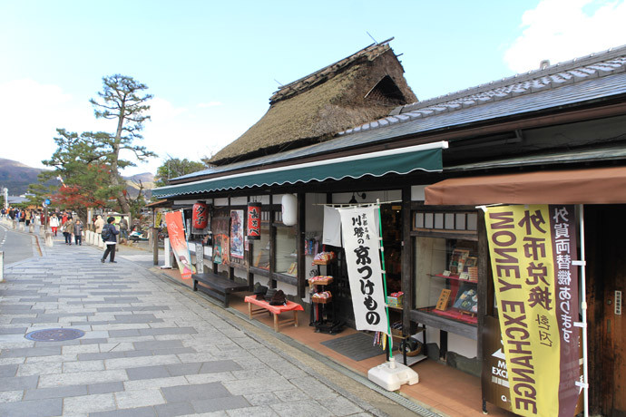 嵐山公園 中之島地区