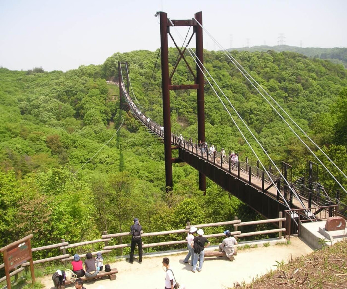 大阪府民の森 ほしだ園地