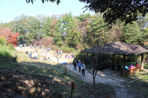 大阪府民の森 ほしだ園地