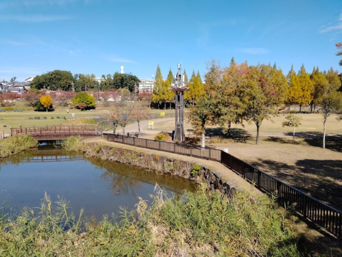 打上川治水緑地