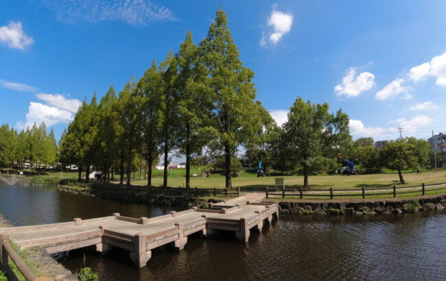 打上川治水緑地