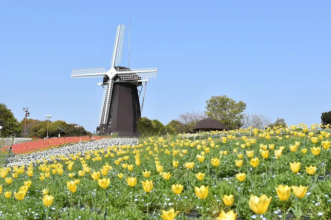 花博記念公園 鶴見緑地