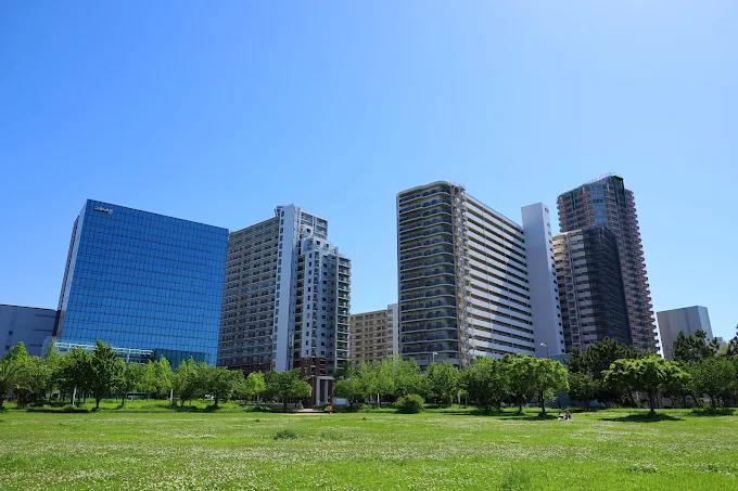 シーサイド コスモ(コスモスクエア海浜緑地)