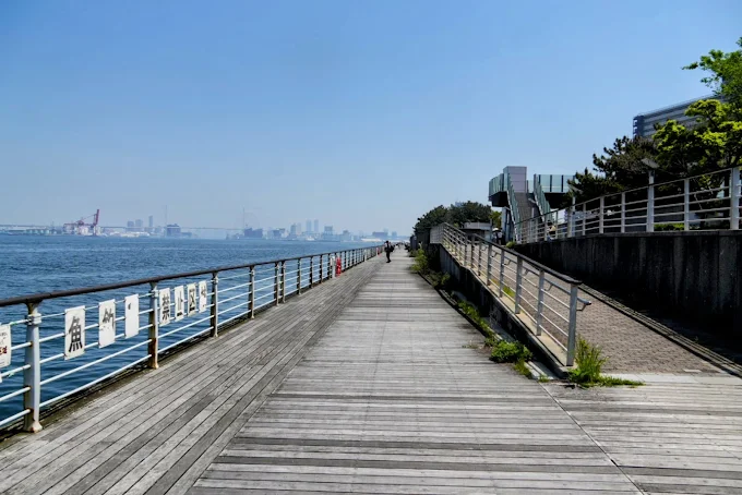 シーサイド コスモ(コスモスクエア海浜緑地)