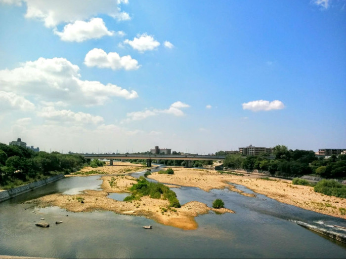 武庫川河川敷緑地