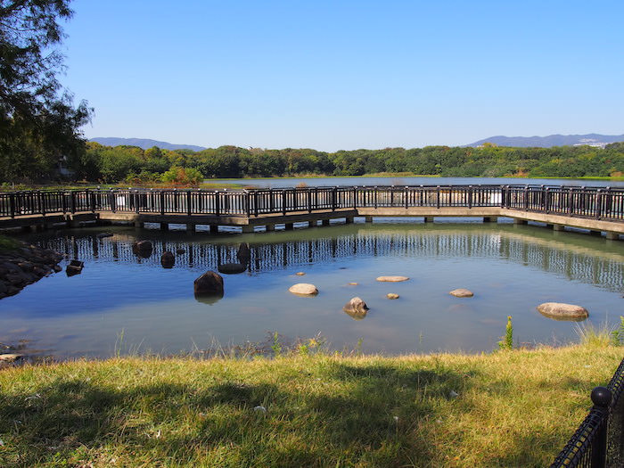 昆陽池公園