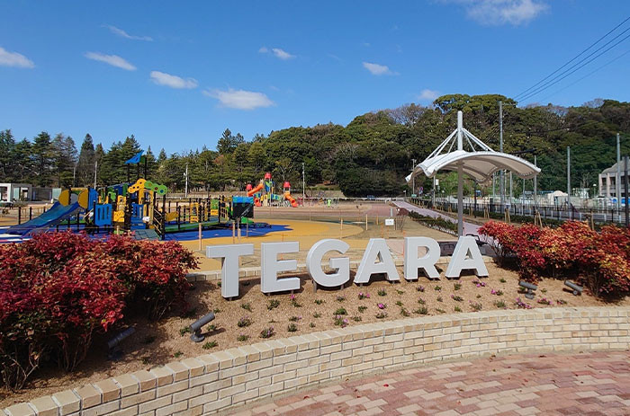 手柄山中央公園