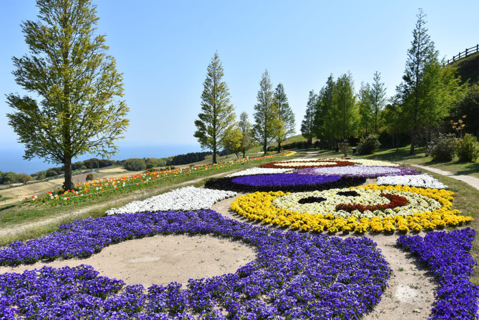 兵庫県立公園あわじ花さじき