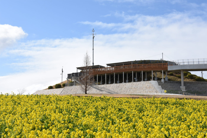 兵庫県立公園あわじ花さじき