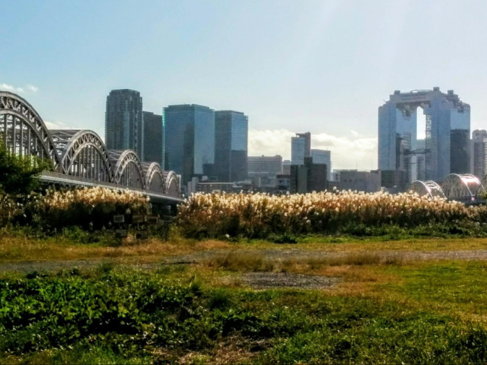 淀川河川公園 西中島地区・十三野草地区