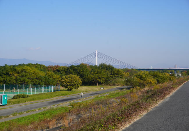 淀川河川公園 仁和寺野草地区