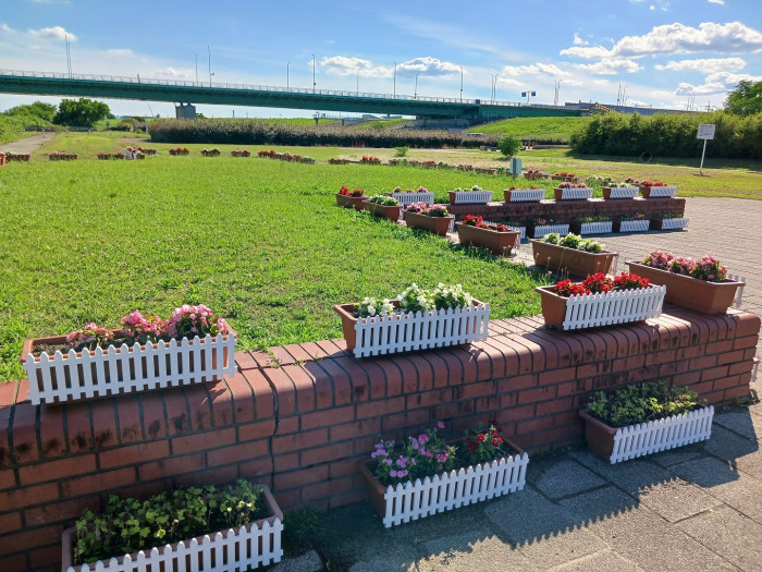 淀川河川公園 鳥飼上地区
