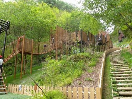 大阪府民の森 緑の文化園 むろいけ園地