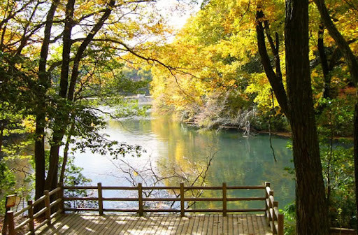 大阪府民の森 緑の文化園 むろいけ園地