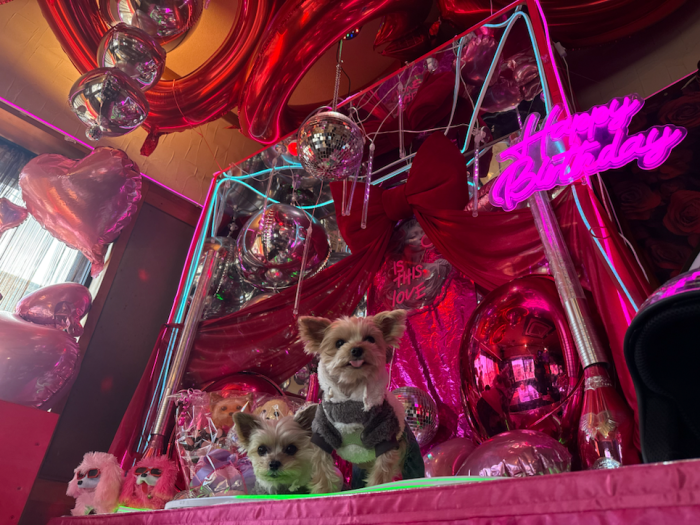 たこやき つねちゃん