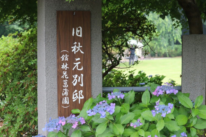 館林つつじが岡第二公園 (館林花菖蒲園)