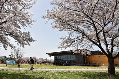 上沼公園・下沼公園