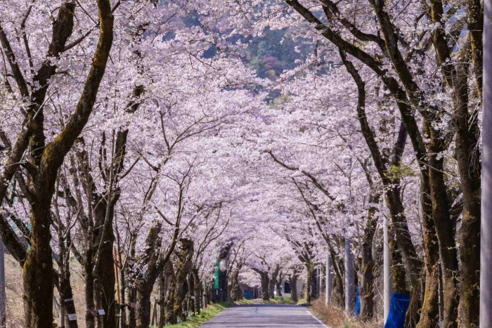 太平山県立自然公園