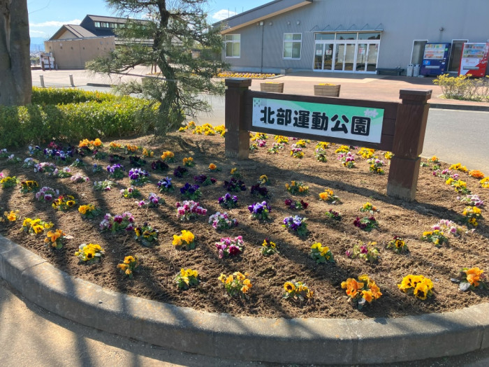 八王子山公園(太田市北部運動公園)