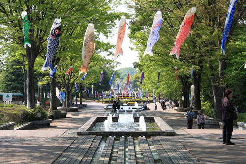 つつじが岡公園