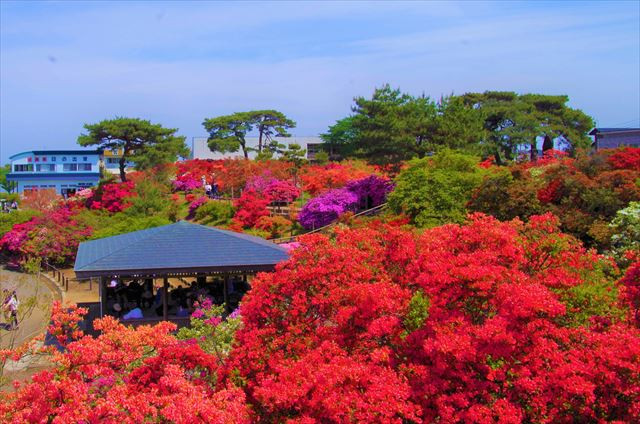 つつじが岡公園