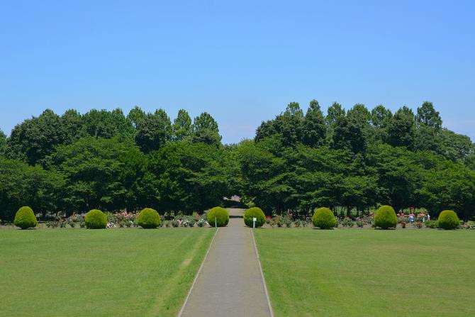さいたま市 市民の森