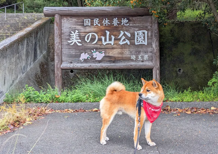 美の山公園