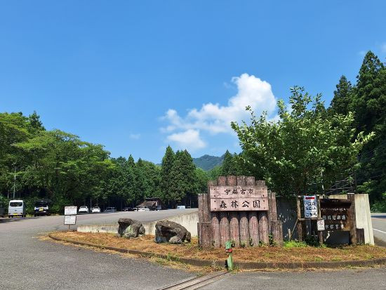 宇都宮市森林公園