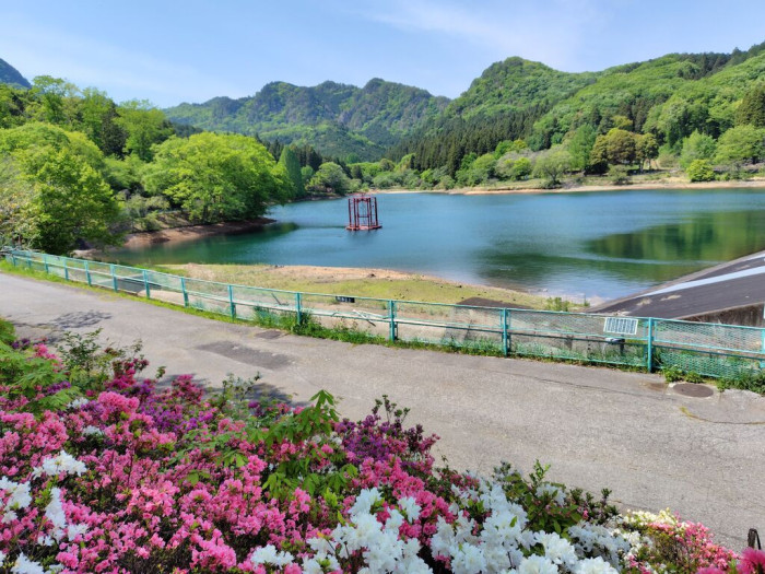 宇都宮市森林公園