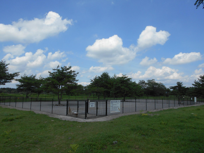 鬼怒川河川公園(氏家ゆうゆうパーク)