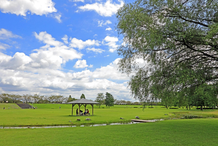 鬼怒川河川公園(氏家ゆうゆうパーク)