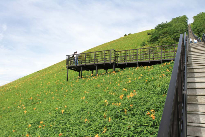日光市霧降高原 キスゲ平園地