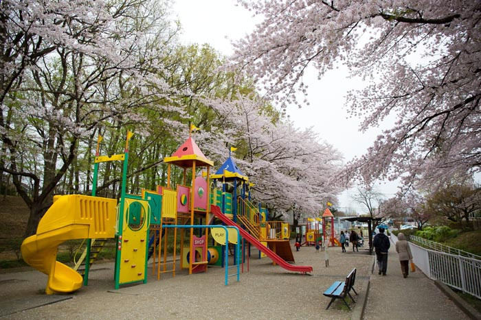 北本自然観察公園