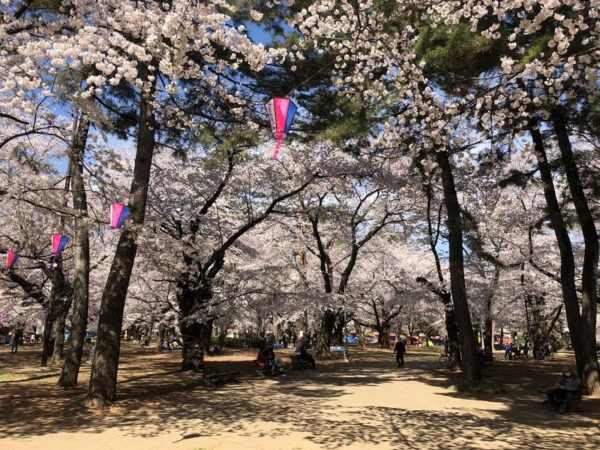 大宮第二・第三公園