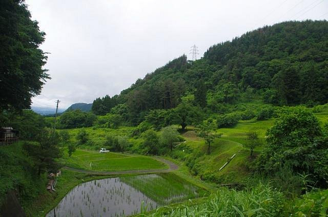 月夜野ホタルの里