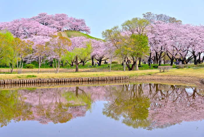 さきたま古墳公園