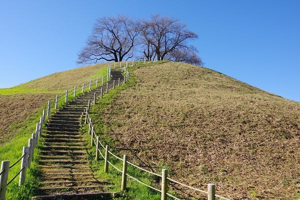 さきたま古墳公園
