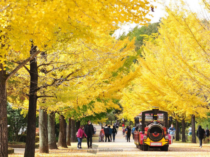 秩父ミューズパーク