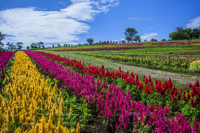 那須フラワーワールド