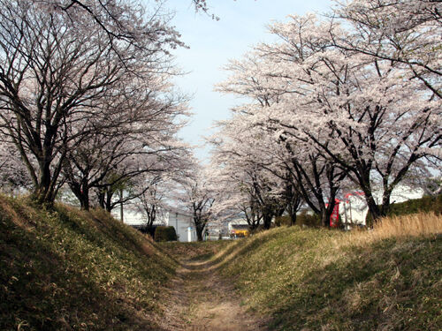御前原公園(御前原城跡)