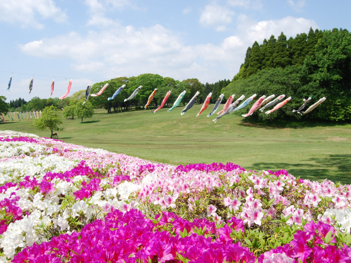 千葉市 昭和の森