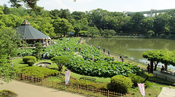 千葉公園