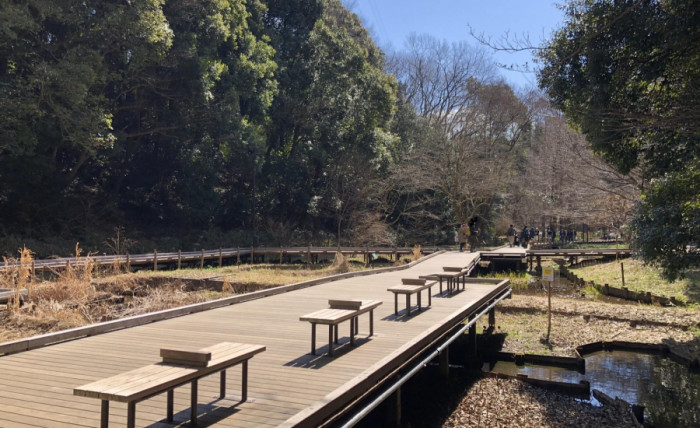 神奈川県立東高根森林公園